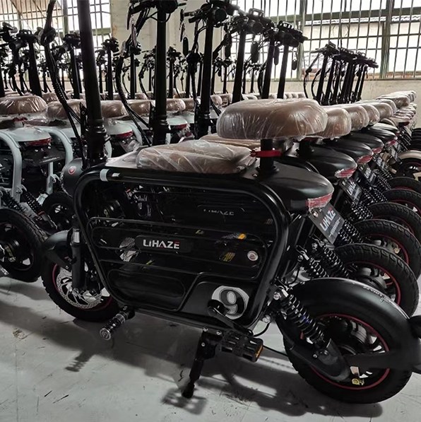 Double Electric Bike