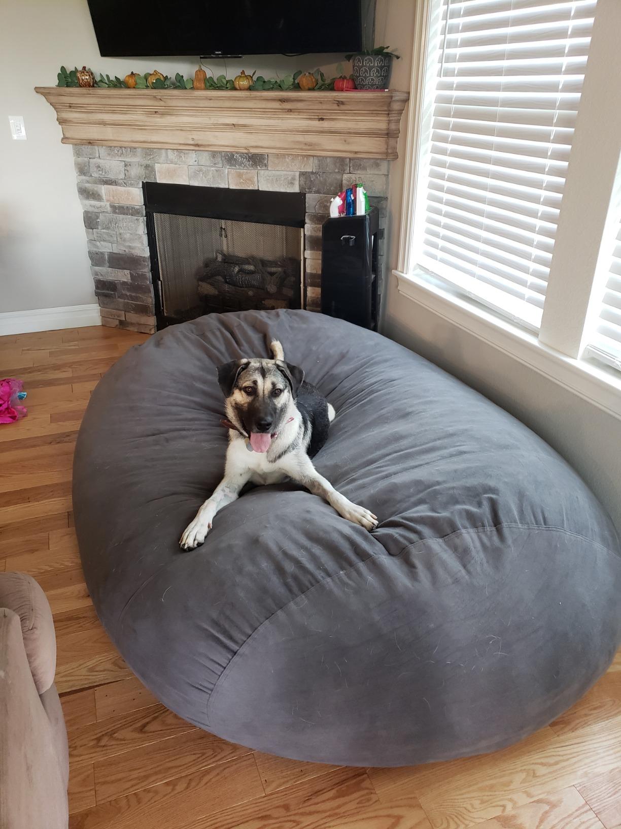 【Furniture】Sofa Sack - Plush Bean Bag Sofas with Super Soft Microsuede Cover - XL Memory Foam Stuffed Lounger Chairs