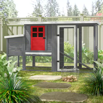 Duchess Chicken Coop with Nesting Box For Up To 4 Chickens