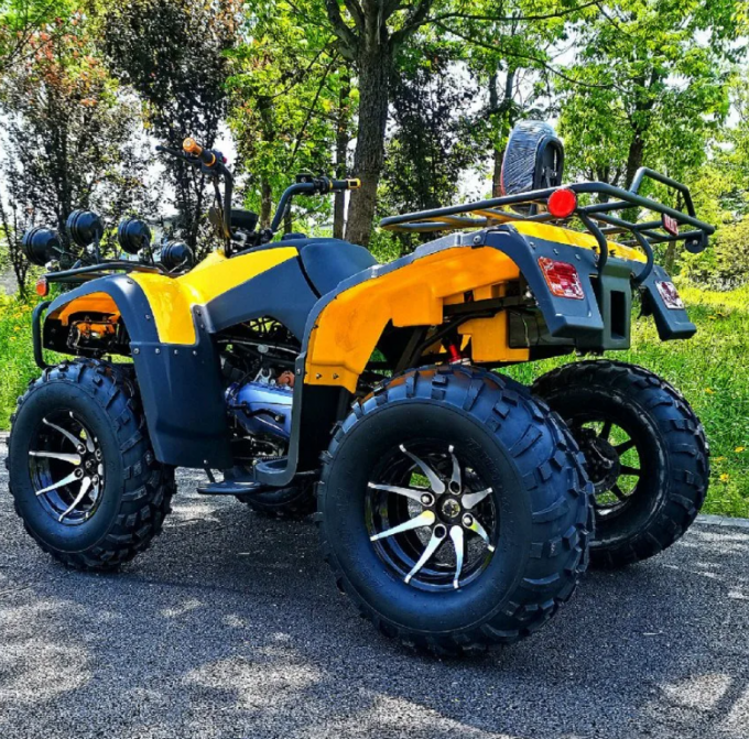 250cc Four-Wheel Drive ATV  Quad ATV Farmer Quad Bike